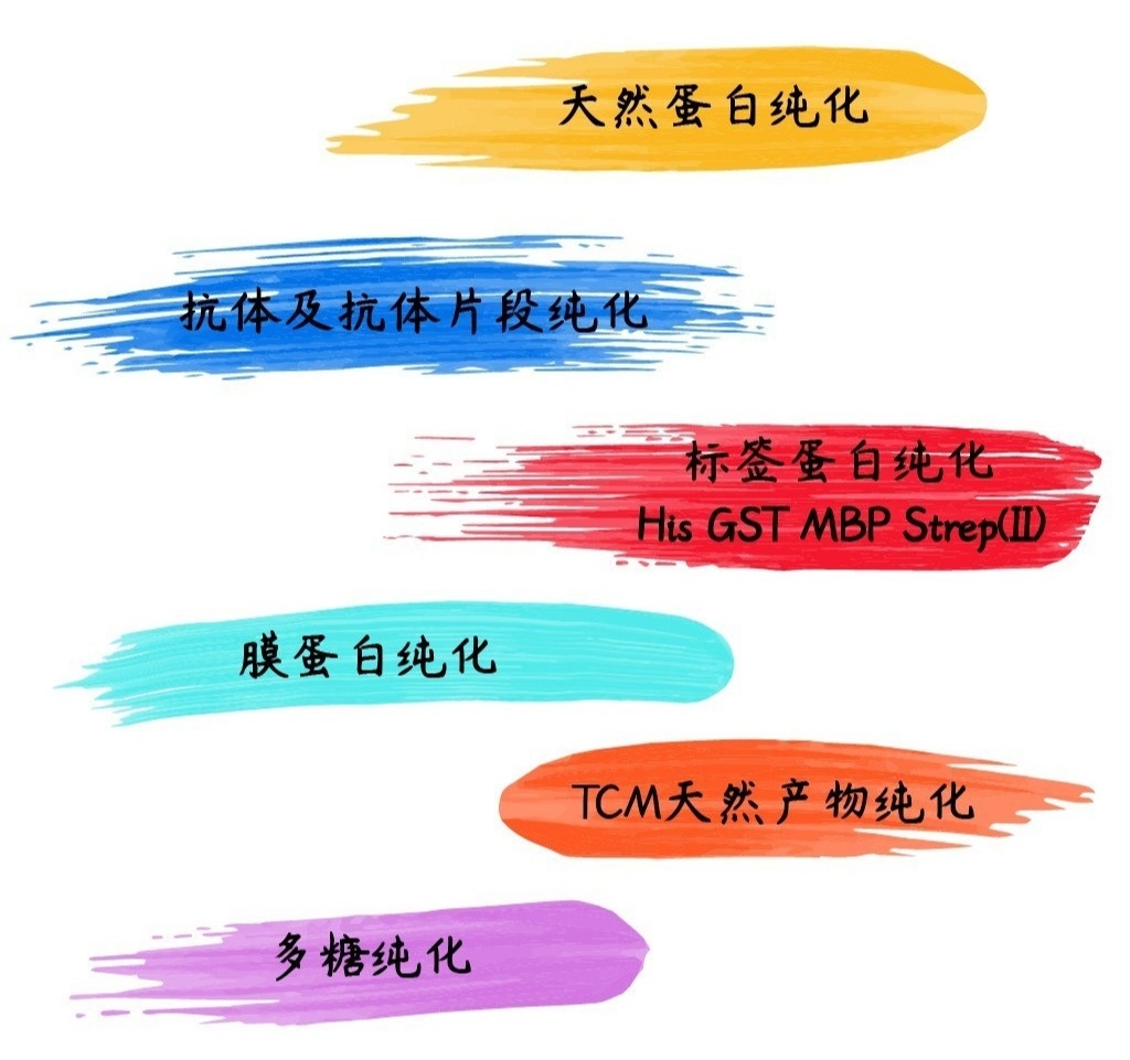 汇总：蛋白套装.jpg